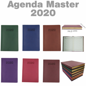 Agenda 2020 Ejecutiva Master 2007B5