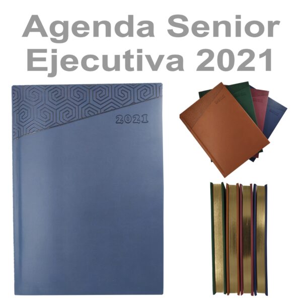 Agenda 2021 Ejecutiva Senior 2101B5 general